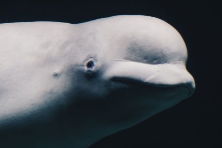 Suggestions to spend three days in Valencia 6