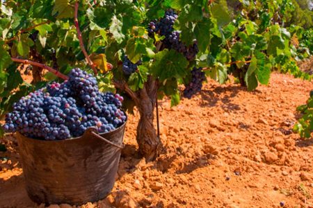 Suggestions to spend three days in Valencia 17